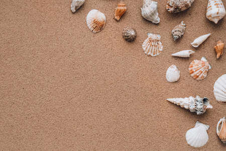Composition frame for copy space, seashells, pebbles, mockup on sand background. Blank, top view,...