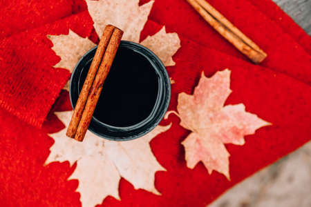 Mulled wine with cinnamon sticks in thermo cup outdoors in autumn park. Red scarf Fall picnic. autumn concept moodの写真素材