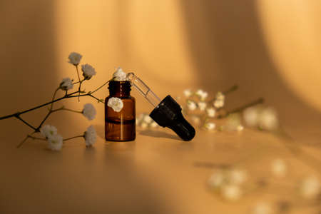 Small bottle of serum on neutral beige background. trendy shadows. Beauty pipette dropper with Gypsophila or baby's breath white flowers. Glass of cosmetic oil and dried flowers and herbs. Natural organic herbal skin care oil, small flowers. Facial liquid serum with collagen and peptides. Monochrome conceptの写真素材