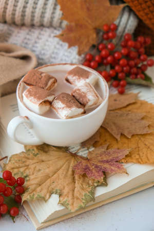 Celebrating autumn holidays at cozy home with cup hot chocolate marshmallows cacao on the windowsill...