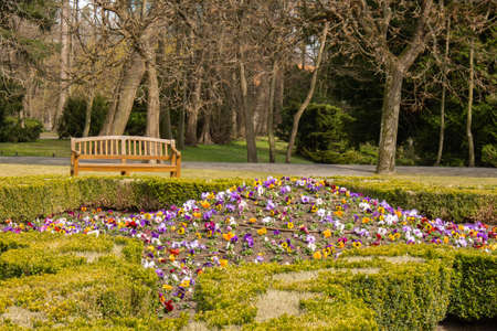 Empty wooden bench in the park on a cloudy day in autumn spring season. Public Olivia park in Gdansk...