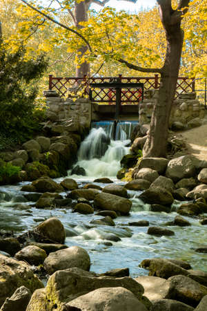 Waterfall cascade in Olivia public park Gdansk Poland. River waterfall falls from cliff and trees....