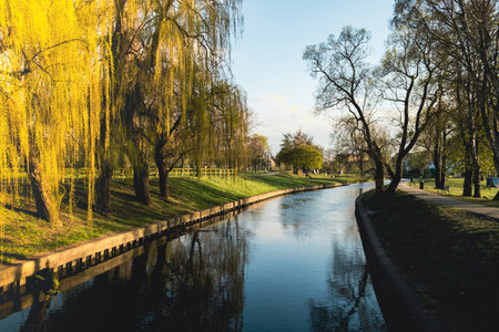 City park on sunny spring summer weather. Park with river reflections, trees and green grass. Landscaping Place for walking and outdoor recreation. Unity with natureの写真素材