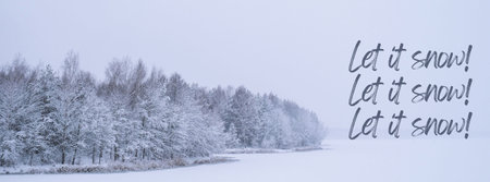 Let it snow Inspiration joke quote phrase Winter holiday landscape forest Dramatic view of...