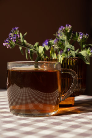 Cup of black tea with sunbeams and shadows. Healthy homemade tea in glass cup on table. Herbal medicine Delicious tea. Green clearingの写真素材