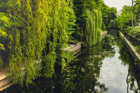 Beautiful spring river and forest. Nature Reflection of trees in the water. Abstract natural background. Blurry silhouettes of many green trees, leaves reflect on peaceful surface of river, lake puddle water pond Wallpaper Selective focus Reconnecting with nature, Mental healing health. Mindful livingの写真素材