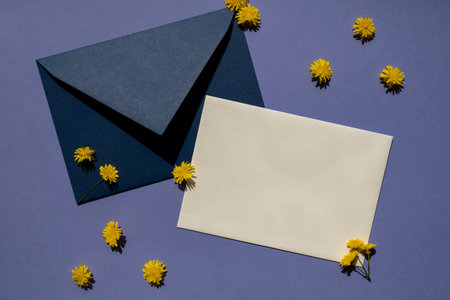 Beautiful little yellow chamomile daisies flowers on postal blue envelope on violet background, empty paper note copy space for text, spring time, greeting card for holiday. Minimalism concept Vivid colors. Creative. Delicate yellow flowersの写真素材