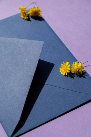 Beautiful little yellow chamomile daisies flowers on postal blue envelope on violet background,...