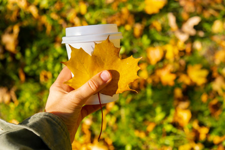 Woman holding Eco zero waste white paper cup copy space mockup Fall autumnal maple yellow leaf. Cup...