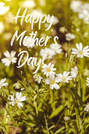 Greeting card text HAPPY MOTHERS DAY saying Flowerbed of beautiful white flowers on green lawn background. Group of delicate flowers in the period of active flowering in spring. Romantic natural background for all vivid moments of life backgroundの写真素材