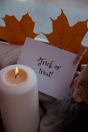 TRICK OR TREAT text greeting card concept Celebrating halloween autumn holidays at cozy home on the windowsill Hygge aesthetic atmosphere Autumn leaves gnome spices and candle on knitted white sweater in warm yellow lightsの写真素材