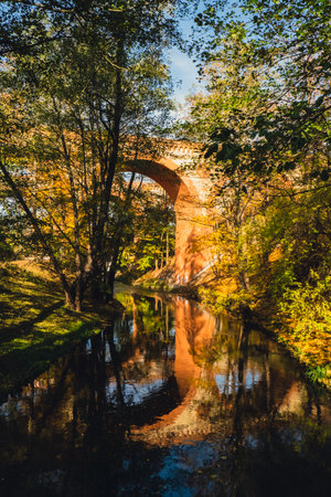 Autumn leaves float on the surface of the water. Fallen autumnal leaves on surface of lake. Natures landscape Fallen orange leaf is sailing on water levelの写真素材