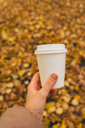 Unrecognizable woman hand holding Eco zero waste white paper cup copy space mockup. Fall leaves and...