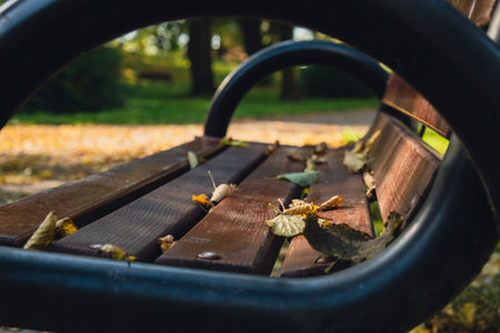 Colorful falling autumn leaves in wooden bench. View through the autumn foliage in park forest....