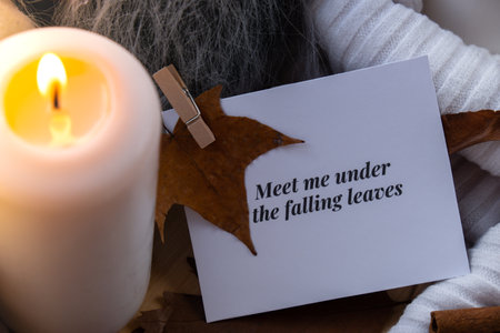 MEET ME UNDER THE FALLING LEAVES text greeting card concept Celebrating thanksgiving autumn holidays...