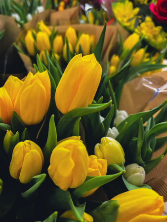 Set of bouquets of tulips of different colors, tulips bouquet. Present for March 8, International Womens Day. Holiday decor with flowers selling. Bouquet with colorful tulips. Holiday floral decorの写真素材
