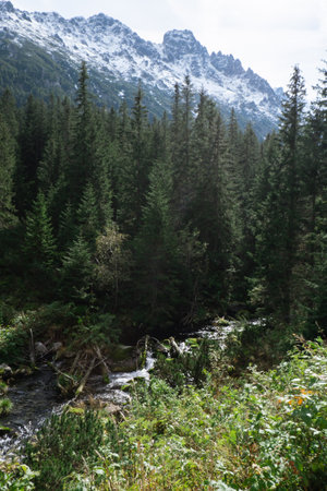 Snowy mountains, green forests In National park Zakopane Poland. Mountain nature landscape. Blue sky. Travel outdoors green tourism concept Naturecoreの写真素材