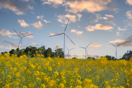 Wind turbine on grassy yellow field against cloudy blue sky in rural area during sunset. Offshore windmill park with stormy clouds in farmland Poland Europe. Wind power plant generating electricity. Renewable green clean energyの写真素材