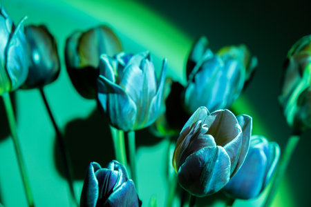 Pink colored tulip flower in neon light on green gradient background in the night light. Luminescence psychedelic art Creative dark holiday concept. Copy space greeting card. Aesthetic sunset lampの写真素材