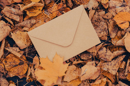 Empty earth tones envelope mock up around Colorful falling autumn leaves. Template card. Golden tree leaves. Beautiful tree with yellow leaves in autumn forest. Path littered with autumn leaves. Nature fall landscapeの写真素材