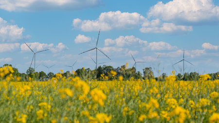Wind turbine on grassy yellow field against cloudy blue sky in rural area during sunset. Offshore windmill park with stormy clouds in farmland Poland Europe. Wind power plant generating electricity. Renewable green clean energyの写真素材