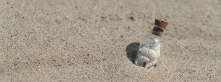 Souvenir Glass bottle with Sea shell. Seashell in glass bottle with seashells on the seashore sandy beach. Ocean seashell. Summer Memories from vacationの写真素材