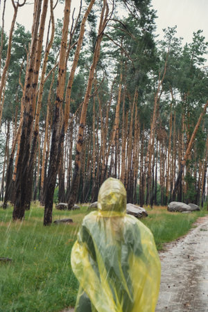 Defocused Back view on carefree woman in yellow raincoat walking in autumn forest enjoying rainy weather outdoors. Female tourist discover park in rainy season. Closeness to nature. Mental healing fulfillmentの写真素材