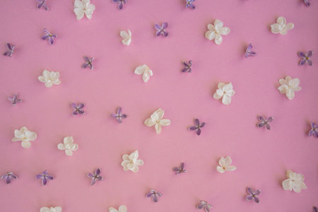 Composition background made of beautiful spring pink and white lilac flowers. Backdrop Mockup card invitation greeting card postcard copy space template blankの写真素材