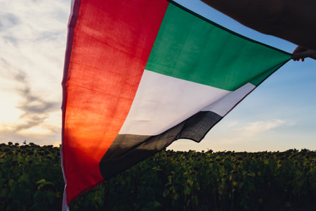 Defocused National Flag Of UAE Waving In The Wind sunset. Flag of United Arab Emirates on Sun Background. Sign of Dubai. Spirit of the Union National Independence Dayの写真素材