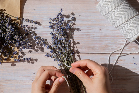 Top view flat lay of process making bouquets of dried lavender flowers. Cotton rope, scissors....