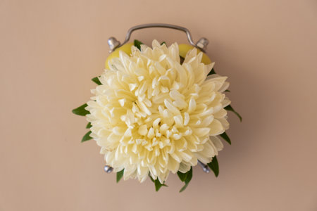 Composition of flower and alarm clock. Concept of changing summer winter time on beige background