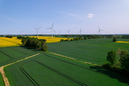 Aerial view Wind turbine on grassy yellow farm canola field against cloudy blue sky in rural area....