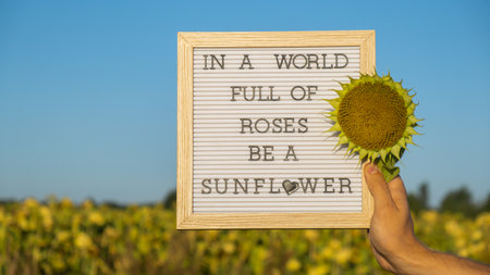 IN A WORLD FULL OF ROSES BE A SUNFLOWER text on white board next to sunflower field. Sunny summer...