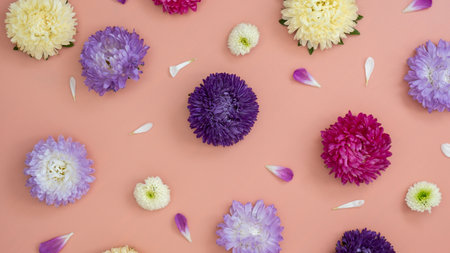 Mixed color flowers and petals leaves pattern on pink background. Pink white and violet flowers as backdrop. Plant natural texture backgroundの写真素材