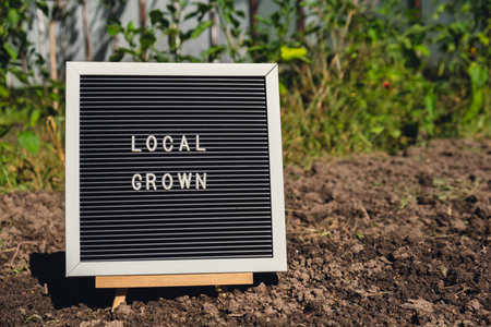 LOCAL GROWN message on background of fresh eco-friendly bio grown bell peppers in garden. Countryside food production concept. Locally produce harvesting. Sustainability and responsibilityの写真素材