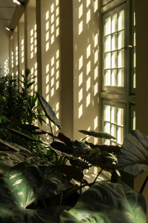 Close up of palm leaf next to old window. Abstract minimal interior design background decor template...