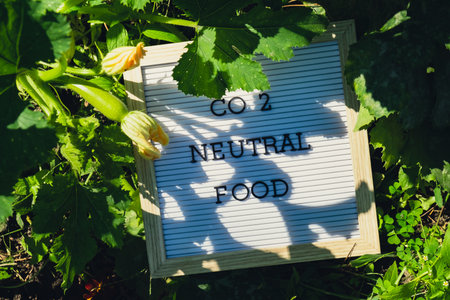 CO2 NEUTRAL FOOD message on background of fresh eco-friendly bio grown green zucchini in garden. Countryside food production concept. Locally produce harvesting. Sustainability and responsibilityの写真素材