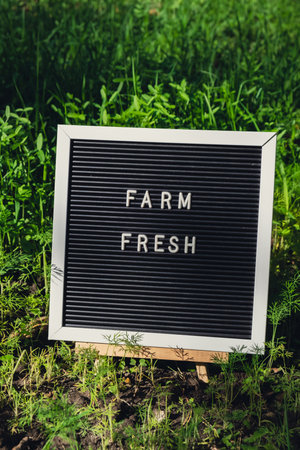 FARM FRESH message on background of fresh eco-friendly bio grown green herb dill in garden....