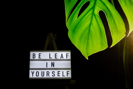 Caption saying BE LEAF believe IN YOURSELF Indoors garden healthy space biophilia design. Joke quote...
