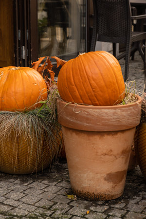 Halloween decorated outdoor cafe or restaurant terrace in America or Europe with pumpkins traditional attributes of Halloween. Frontyard decorationの写真素材