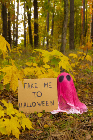 Halloween holiday concept. Handmade pink ghost with cardboard message TAKE ME TO HALLOWEEN made from bandages and glue in autumn forest background. Childrens art project. DIYの写真素材