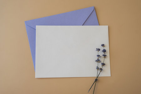 Flat lay composition of white paper greeting card on envelope with dry lavender flowers. Copy space template mock up. Top view. Concept of Wedding invitation postcard. Business advertisementの写真素材