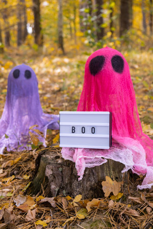 Lightbox BOO text Halloween holiday concept. Handmade colorful ghosts made from bandages and glue in autumn forest background. Childrens art project. DIYの写真素材