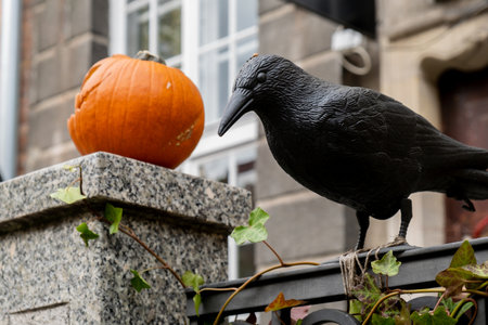 Fall spooky Black Raven in autumn outside. Thanksgiving or Halloween holiday decoration. House entrance in festive seasonal decor. Atmosphereの写真素材