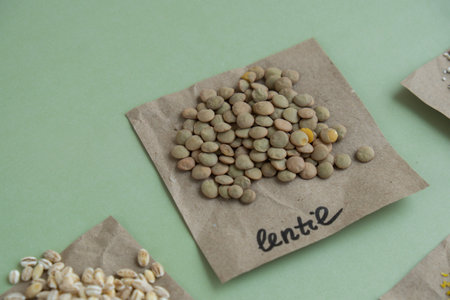 Refillable raw green lentil porridge with text in paper examples. Refill product format eco-friendly living. Whole spelled grain species. High protein fiber-rich vegan plant based food ingredient. Gluten free superfood healthy nutritional dietary alternative foodの写真素材