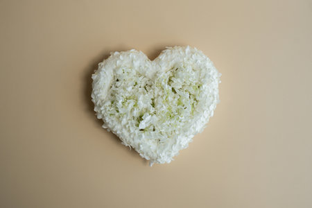 White lilac flowers heart shaped in pastel backdrop. Symbol of love floral arrangement. Spring concept idea Valentines Day, weeding proposal postcard copy spaceの写真素材