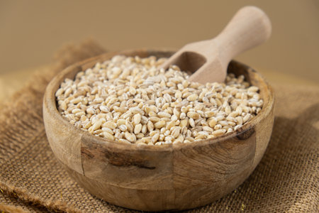 Raw pearl barley porridge Gluten free cereals. Health gut benefits. Concept of alternative whole spelt grain ingredient. Vegetarian diet recipes. Plant-based lifestyle. Copy space Protein richの写真素材