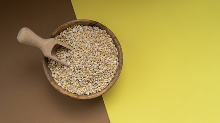 Raw pearl barley porridge Gluten free cereals. Health gut benefits. Concept of alternative whole spelt grain ingredient. Vegetarian diet recipes. Plant-based lifestyle. Copy space Protein richの写真素材