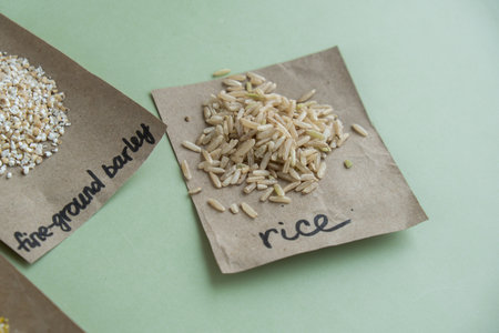 Refillable raw brown rice porridge with text in paper examples. Refill product format eco-friendly living. Whole spelt grain species. High protein fiber-rich vegan plant based food ingredient. Gluten free superfood healthy nutritional dietaryの写真素材