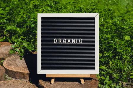 Letter board with text ORGANIC on background of garden bed with green herb parsley. Organic farming, produce local vegetables concept. Supporting local farmersの写真素材